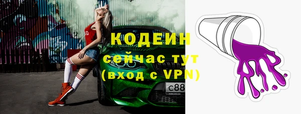 прущие грибы Абинск