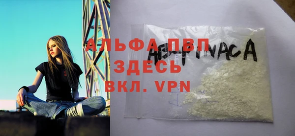 прущие грибы Абинск