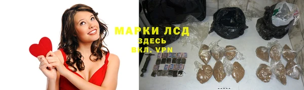 прущие грибы Абинск