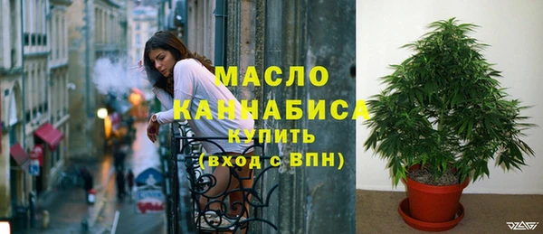 прущие грибы Абинск