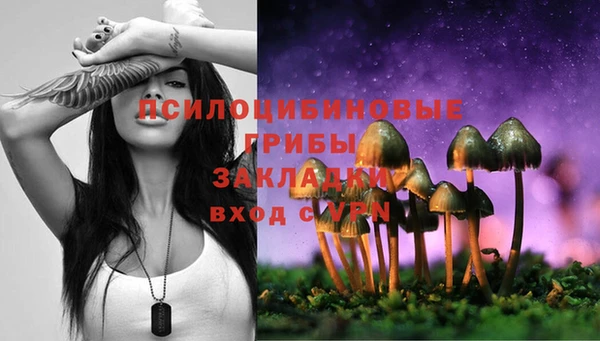 прущие грибы Абинск