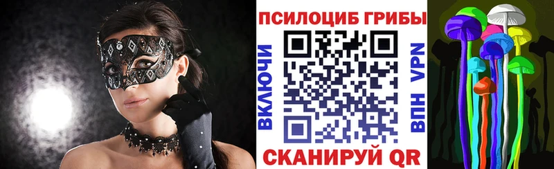 Псилоцибиновые грибы прущие грибы  kraken как войти  Нестеровская 