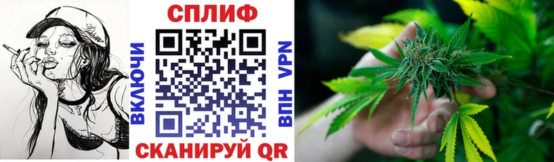 Конопля гибрид Нестеровская